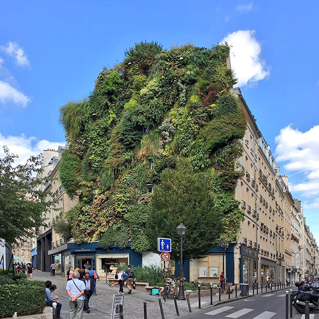 Green Walls: How Technology Brings Nature Into Architecture - Omrania